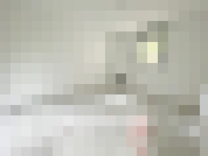  / #25