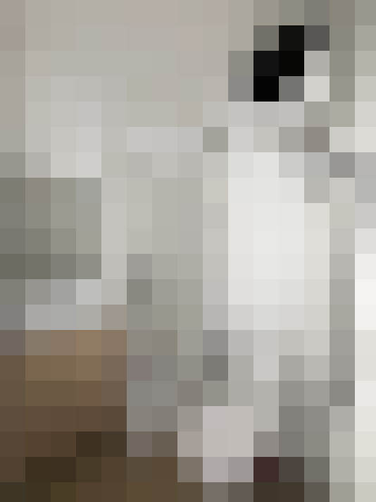  / #18