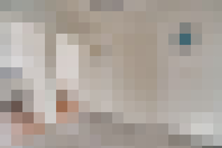  / #12
