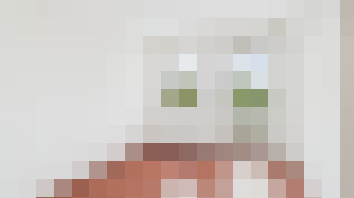  / #11