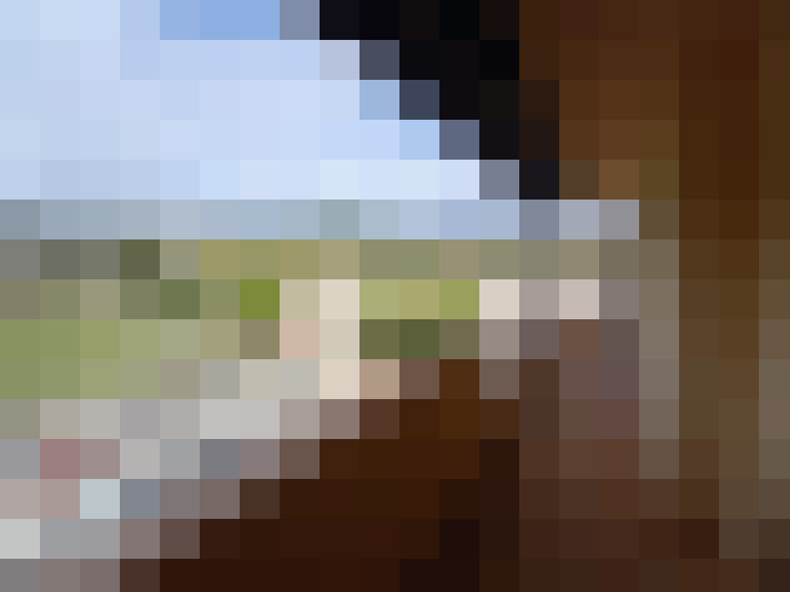  / #7