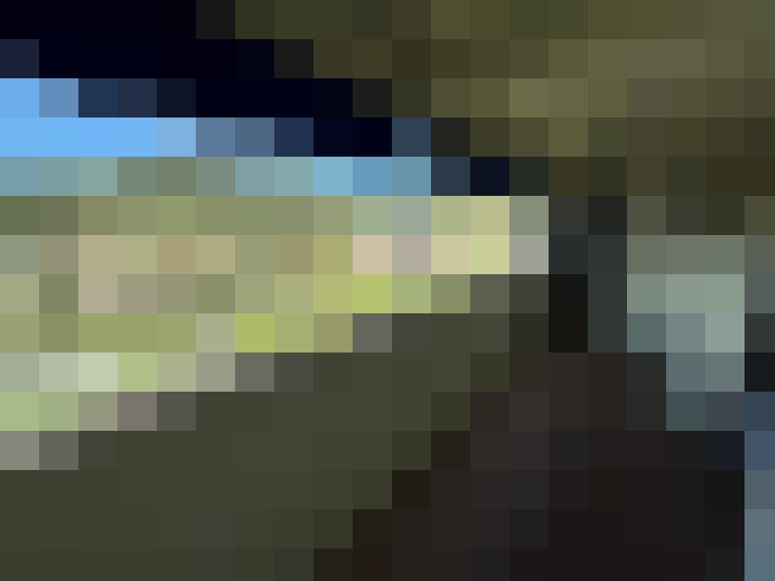  / #8