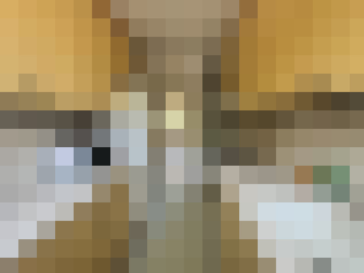  / #8