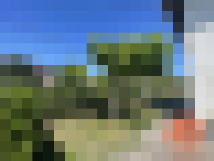  / #7