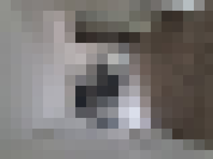  / #8