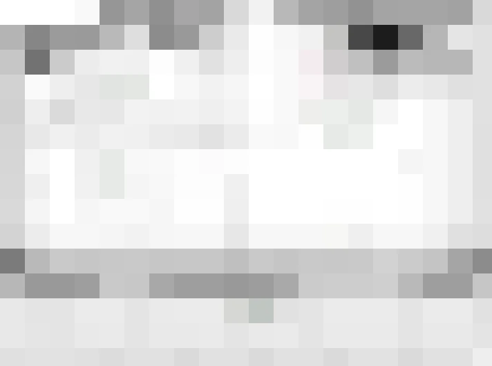  / #19