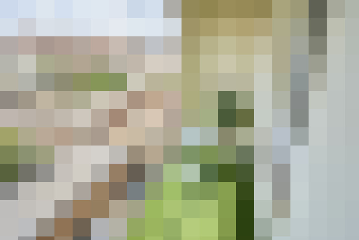  / #16