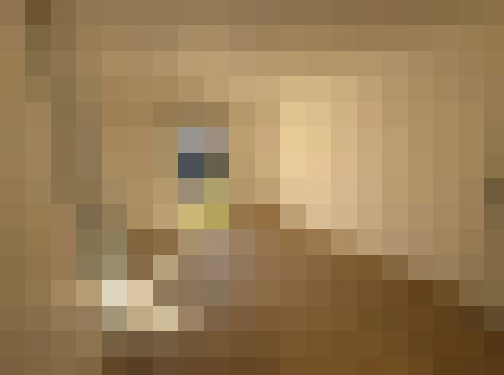  / #3
