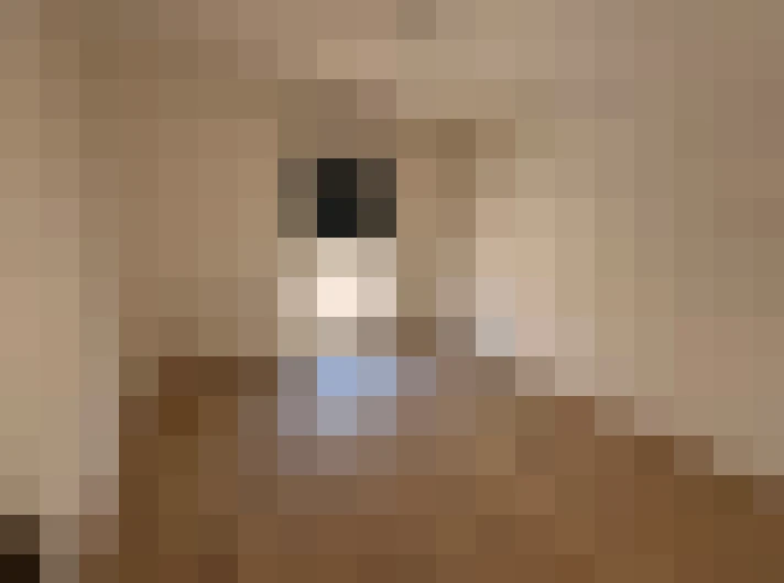  / #3