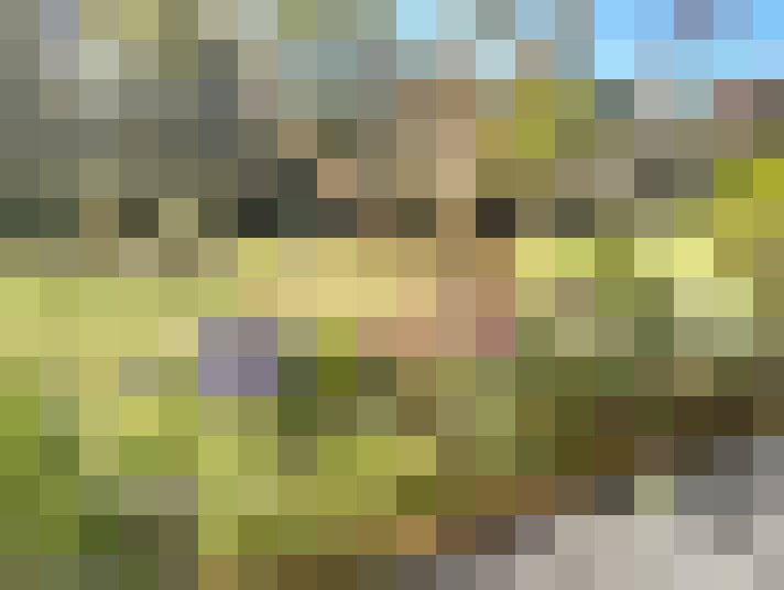  / #7