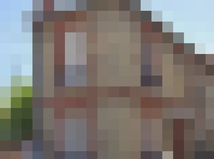  / #15