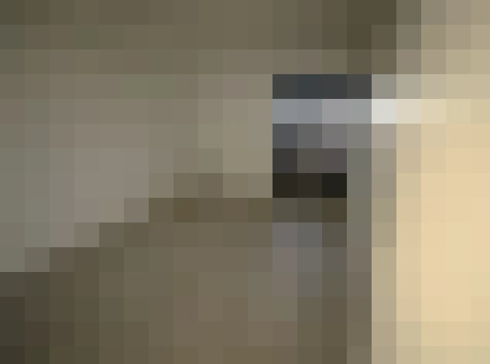  / #12