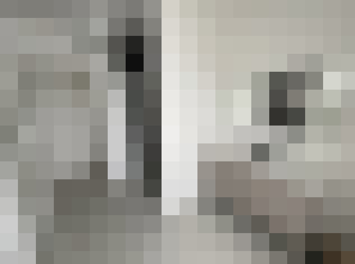  / #17