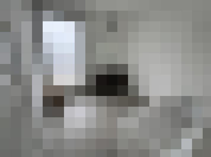  / #19
