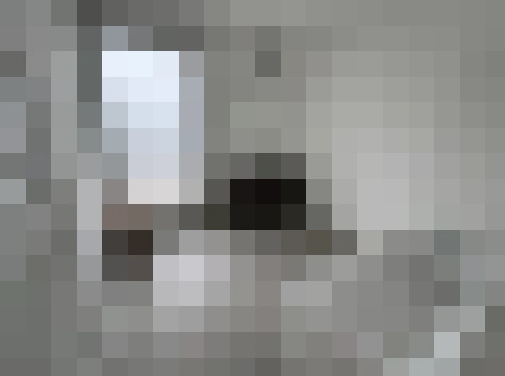  / #8