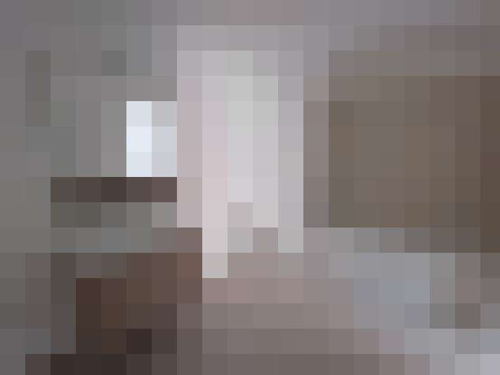  / #11