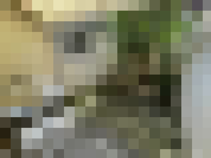  / #15