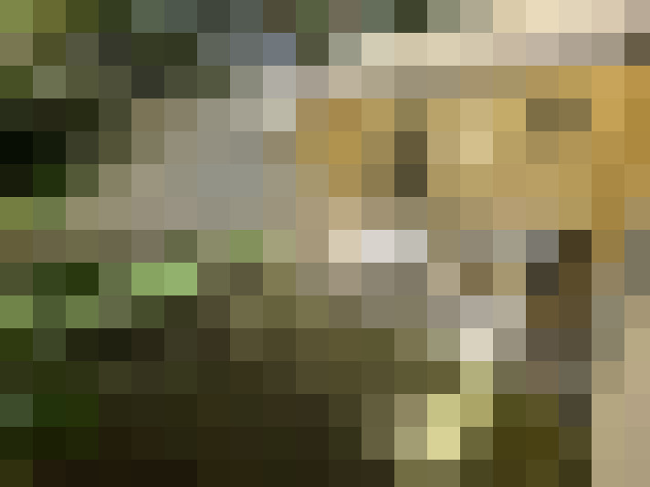  / #16