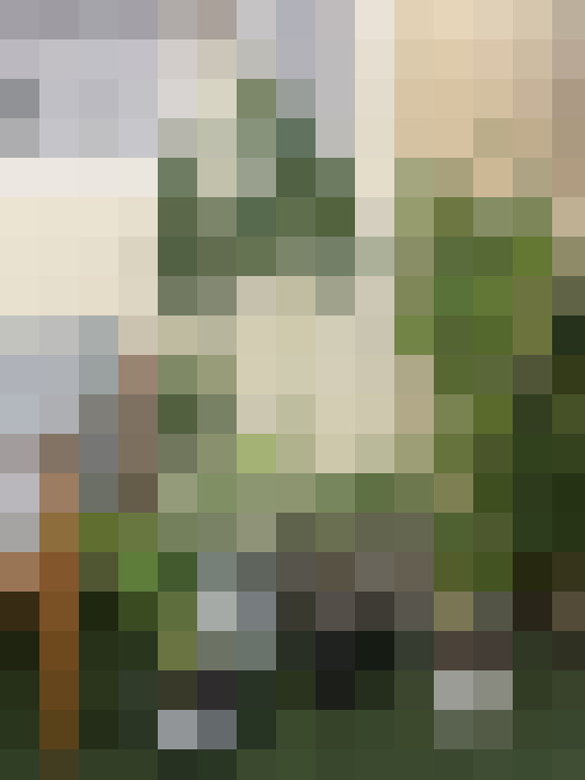 / #14