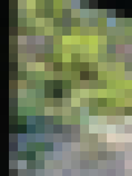  / #20