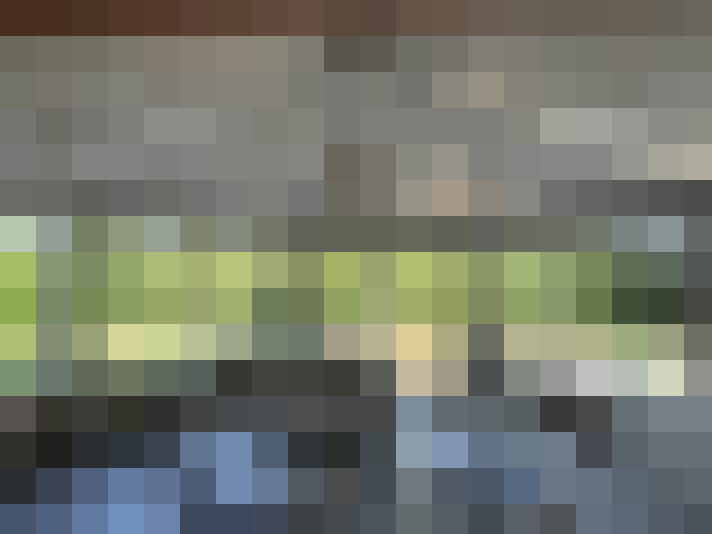  / #14
