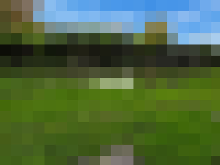  / #9