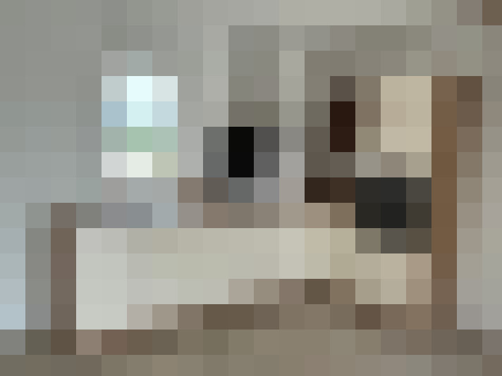  / #15