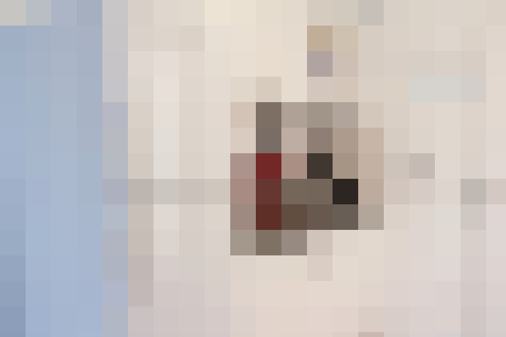  / #11