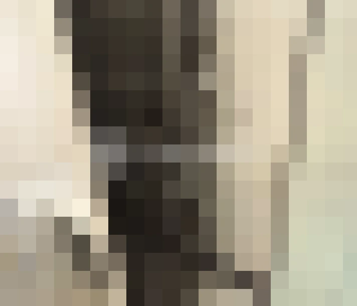  / #17