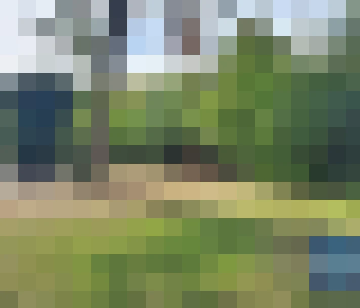  / #16