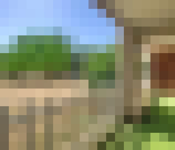  / #10