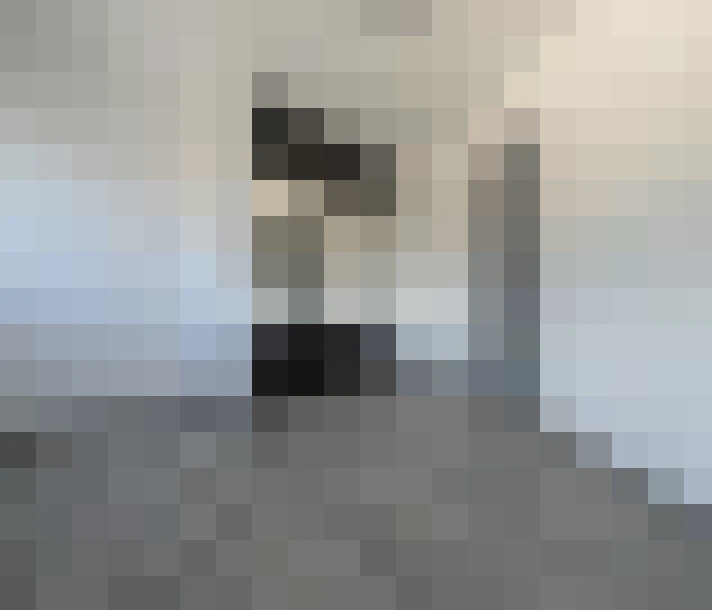  / #7