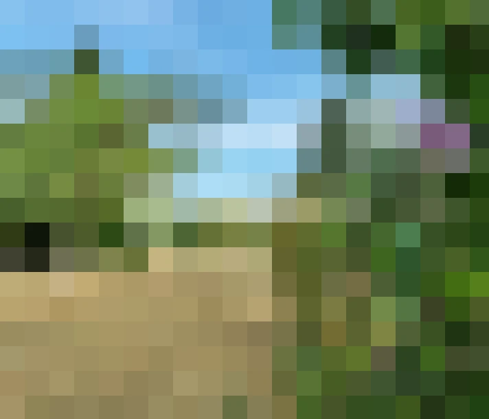  / #11