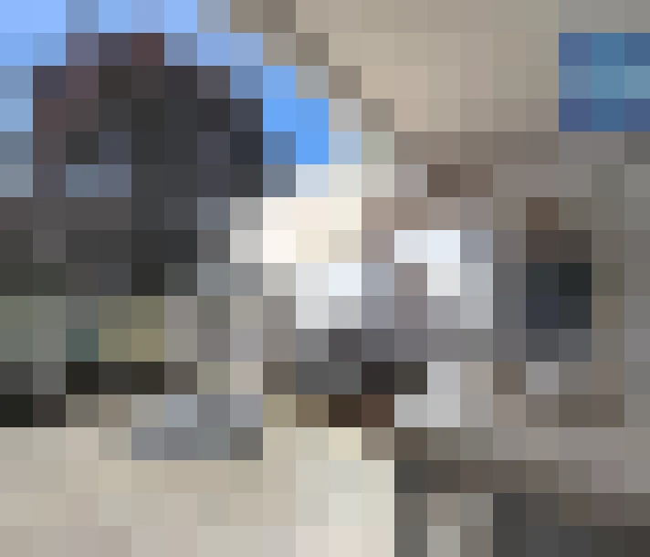  / #15