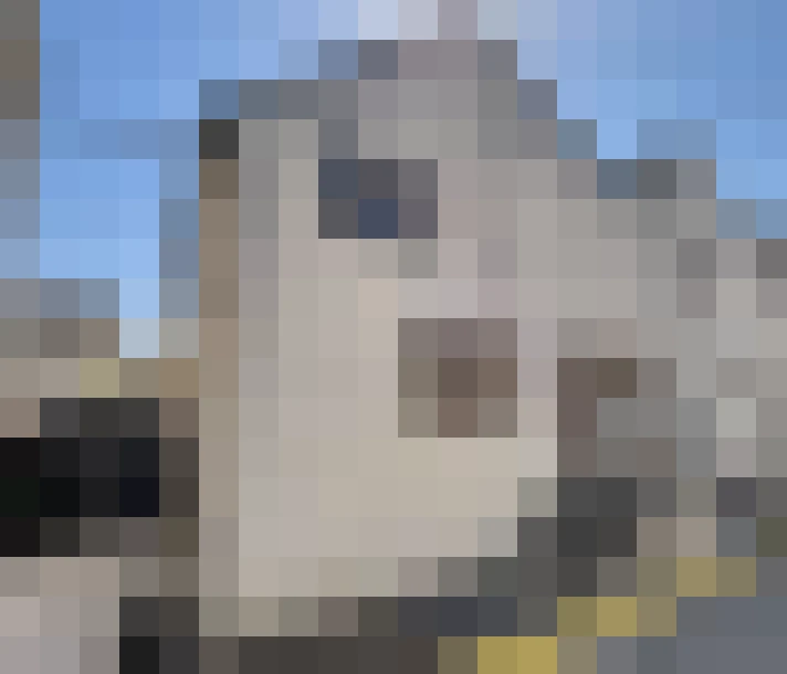  / #16