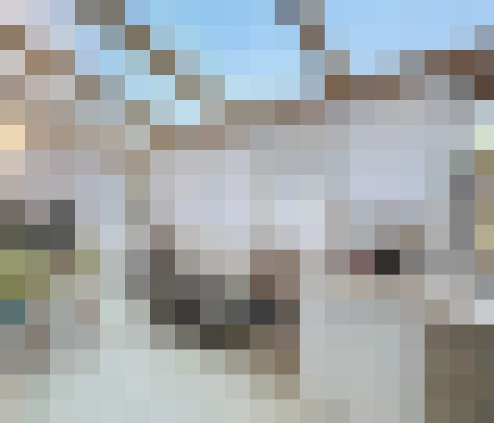  / #7