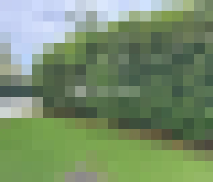  / #10