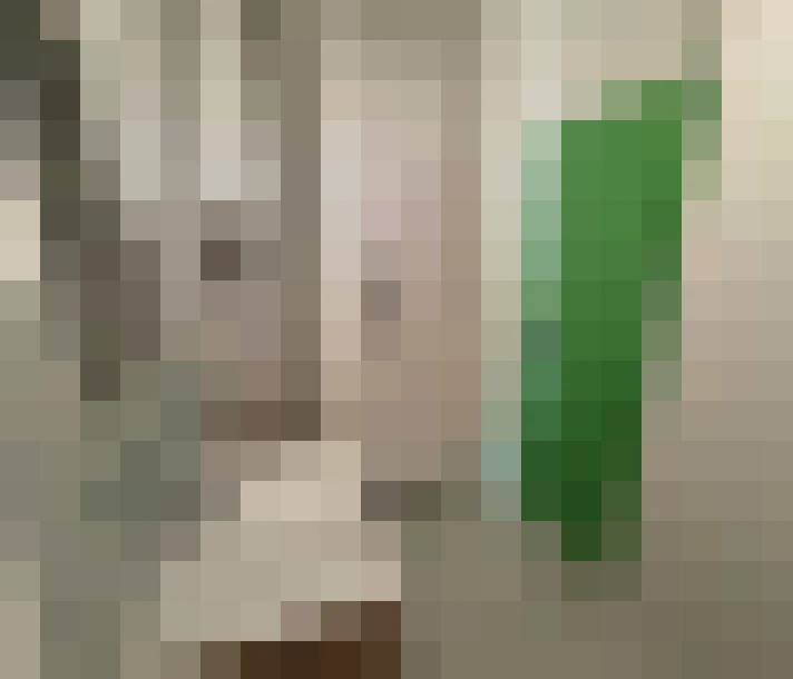  / #5