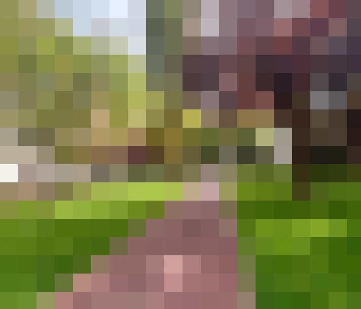  / #13