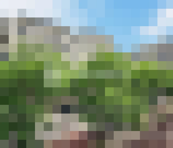  / #12