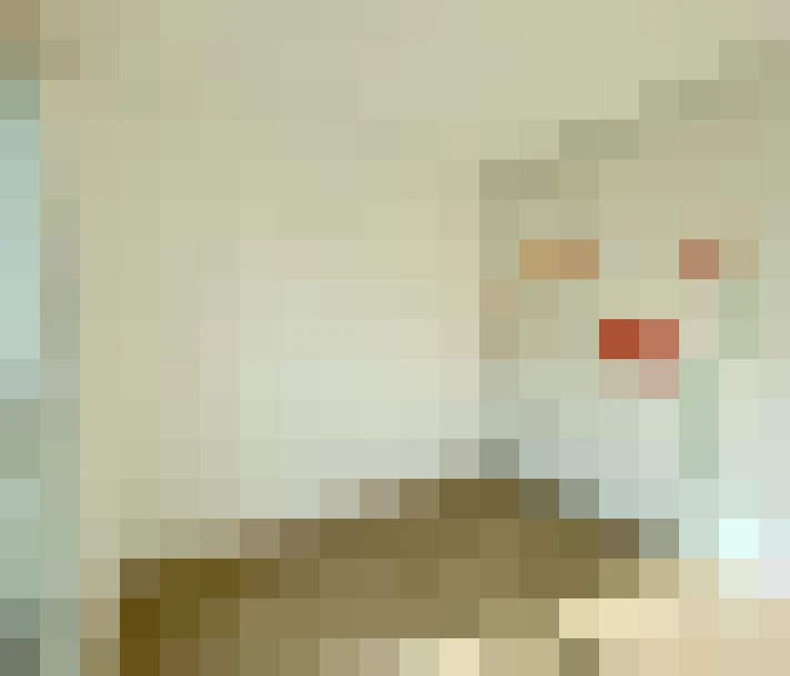  / #15