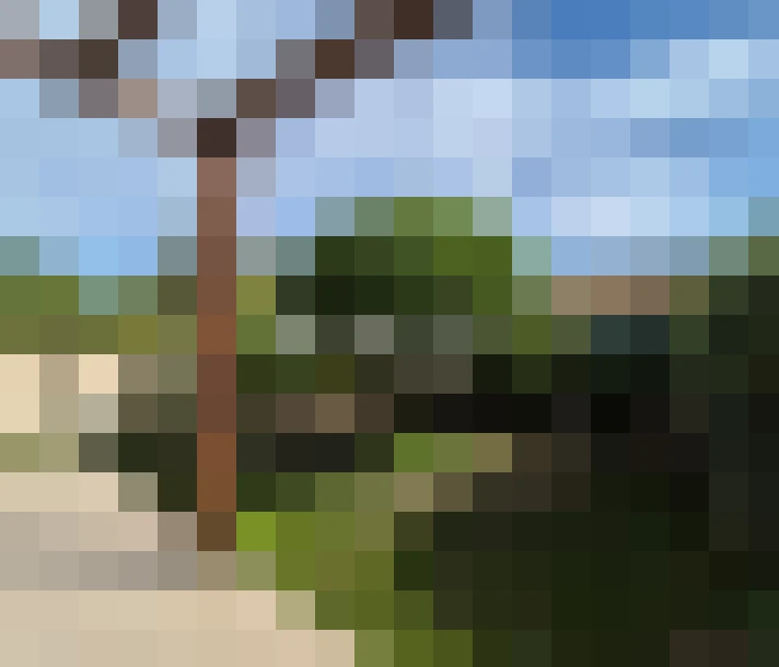  / #9