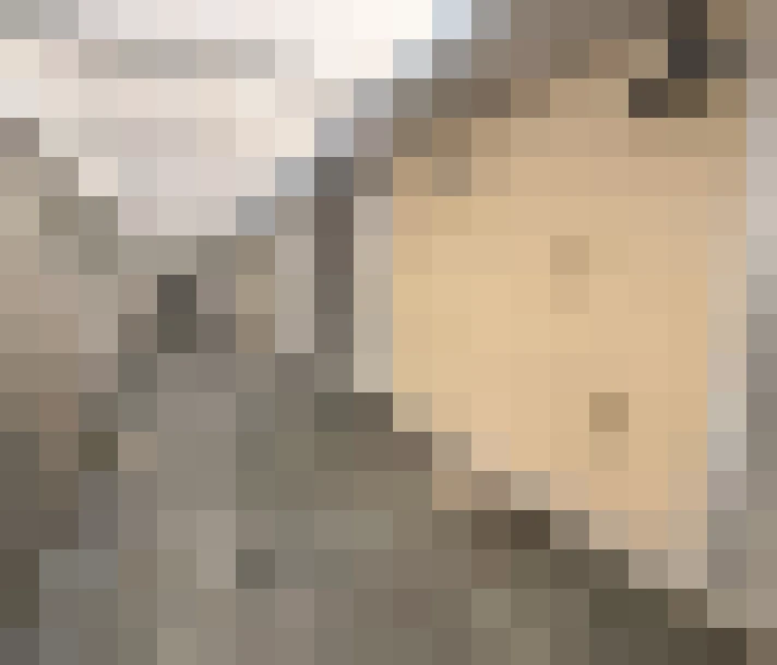  / #14