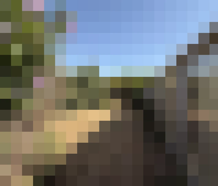  / #13