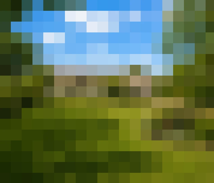  / #14