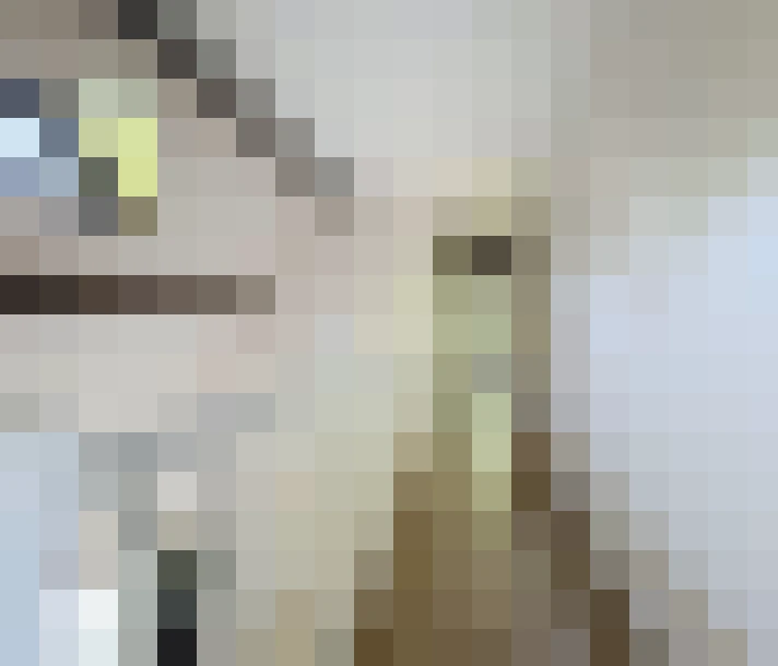  / #7