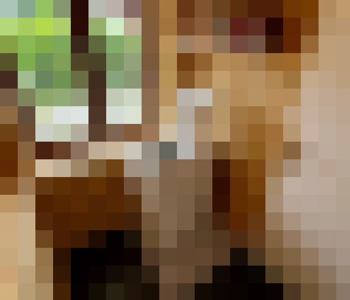  / #16