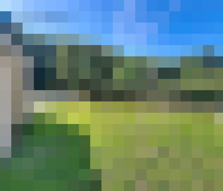  / #15