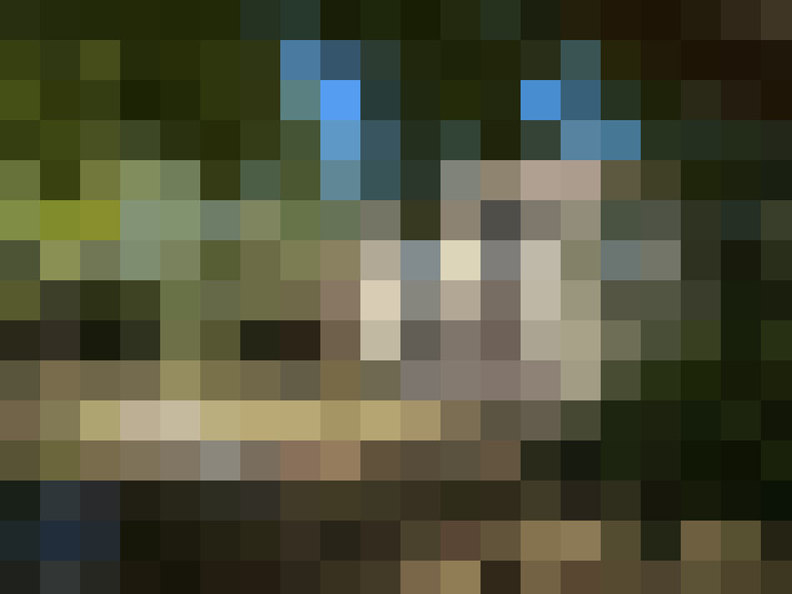  / #21