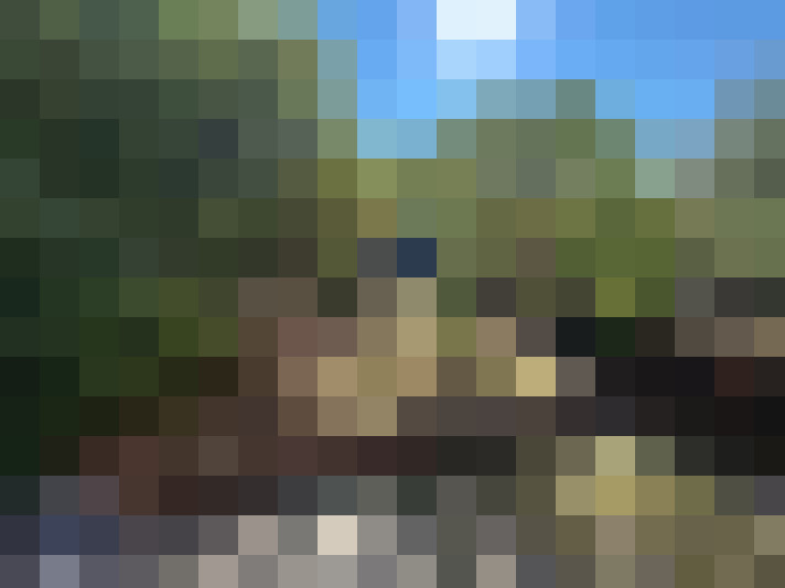  / #8